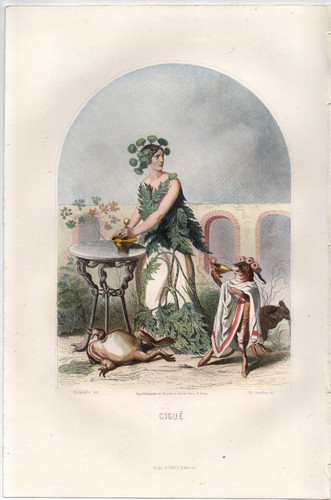 Gravure xixe granville in - gravure,