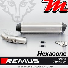 Remus Hexacone Titanium Exhaust Muffler BMW R 1200 GS 2011