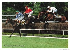 CAR-ACVP19-0930-75 - PARIS - Autreuil - Un beau saut de haie - Trois chevaux
