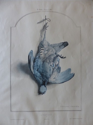 Travies perdrix - (, edouard