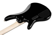 Basse électrique transparente