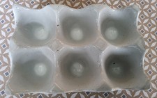 Oeufrier Rangement Oeufs En