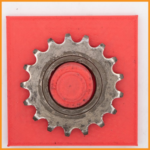 17t track pista - pista, cog