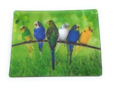 Wellensittiche Oiseaux Perruches 9x7cm 3D Aimant de Réfrigérateur Carte Image