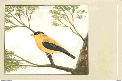 Carte postale animaux - animaux,