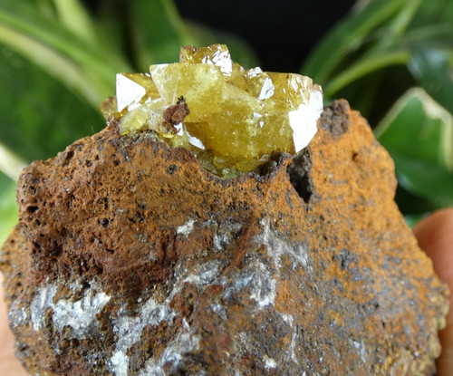 Adamite jaune fluorescente - fluorescente, uv