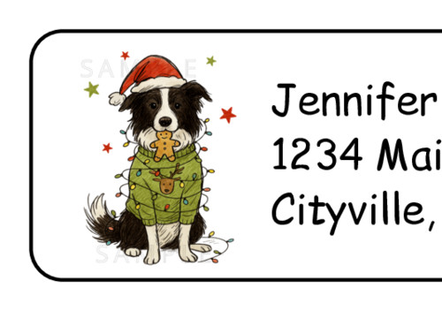 Border collie dog christmas - collie,