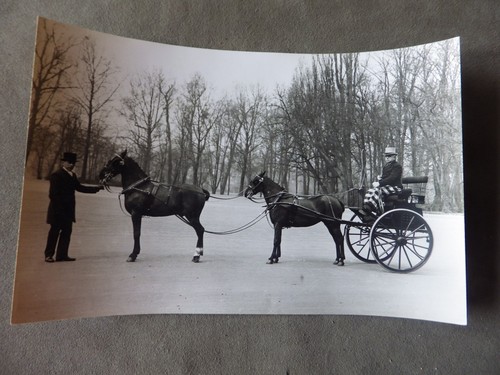 Photo chevaux l attelage - chevaux, a