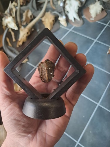 Cadre déco cabinet - , de