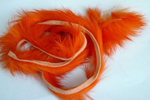 Bande lapin orange - 3x,