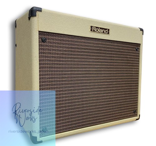 Roland bc60 guitar - guitar, amplifier