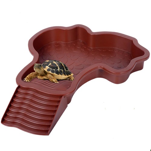 Abreuvoir tortue terrestre - tortue,