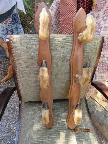 Trophée taxidermie porte - trophée,,