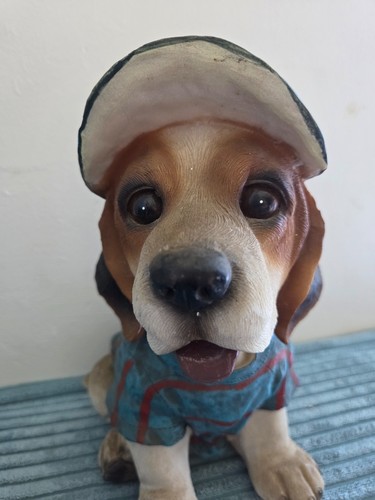 Jolie tirelire chien - jolie,