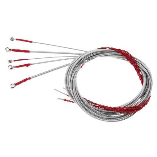 Cordes basse pour - basse,