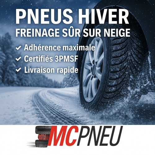 Nexen pneu hiver 215 16 - hiver, r