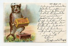 illustrator without signature. Humanized Cat Playing Barbary Organ