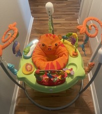 Fisher Price Bouncer Tiger
