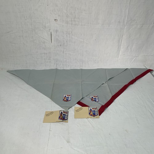 Scoutisme scout insigne - scoutisme,