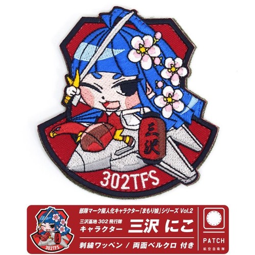 Air self defense force 302 - force,