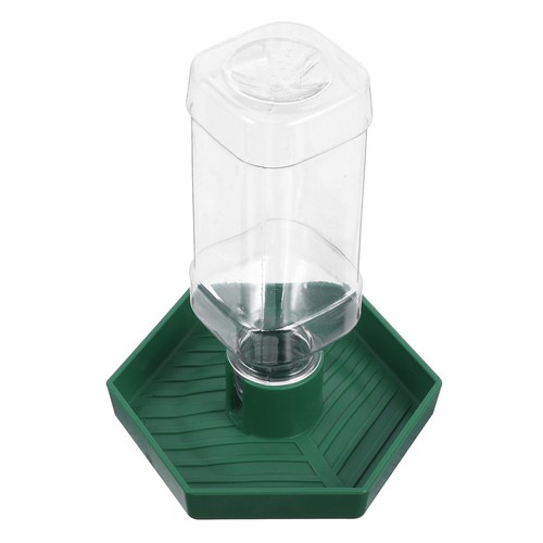 Distributeur eau pour tortue - distributeur,