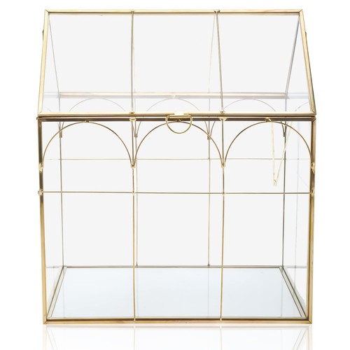 Geometric plant terrarium - plant,