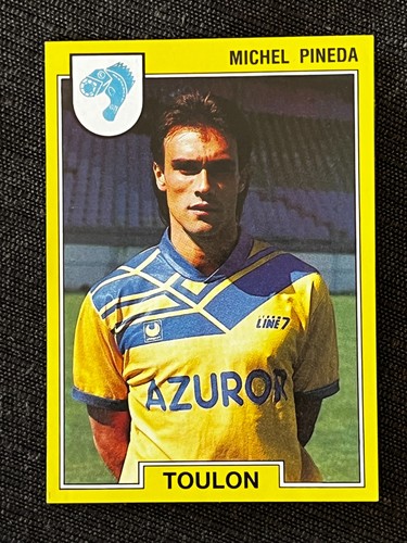 Vignette sticker panini foot - panini,