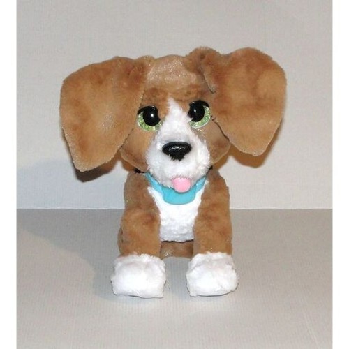 Filo mon chien - filo,