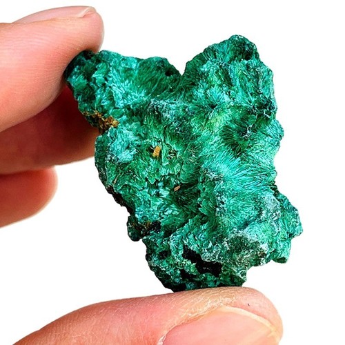 Petite malachite fibreuse - fibreuse, de