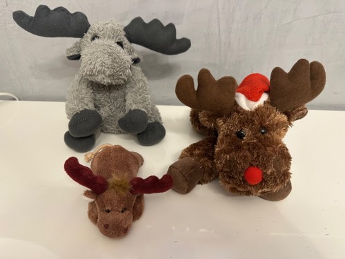 Déco noël rennes family - déco,
