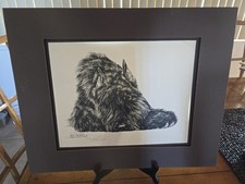 Vintage Limited Edition Signed Bouvier Des Flandres Print By Lyn St Clair Stubbs