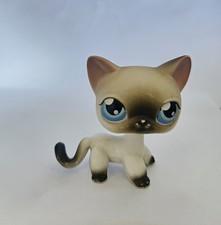 LPS LITTLEST PET SHOP PETSHOP HASBRO - Siamese european Cat / Chat Siamois #5