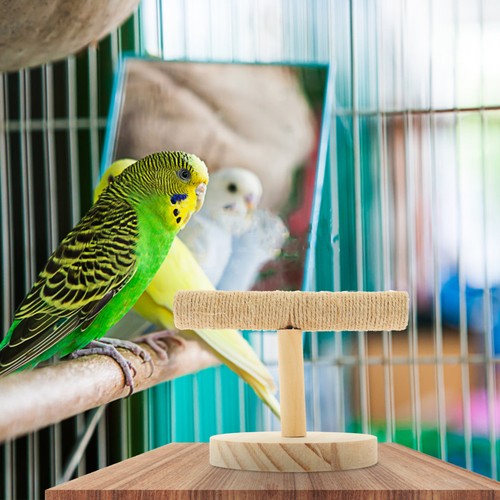 Aire jeux perroquet - aire,