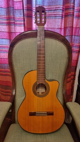 Superbe guitare takamine nylon - superbe,