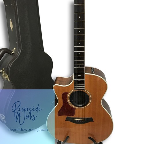 Guitare électrique acoustique