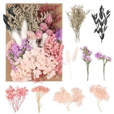 Séchées Fleurs, Vraies