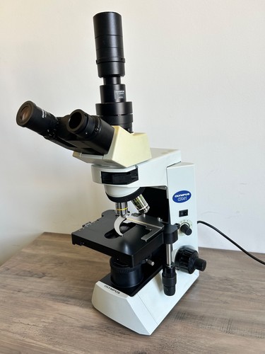 Microscope olympus cx41rf avec - microscope,