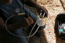 Dansha Farms™ Vacuum Goat