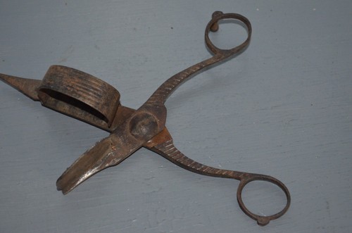 Ancien ciseaux mouchette - ciseaux,