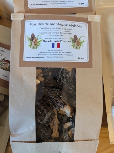 Morilles noires montagne - de,
