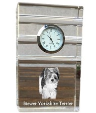 Biewer Yorkshire terrier