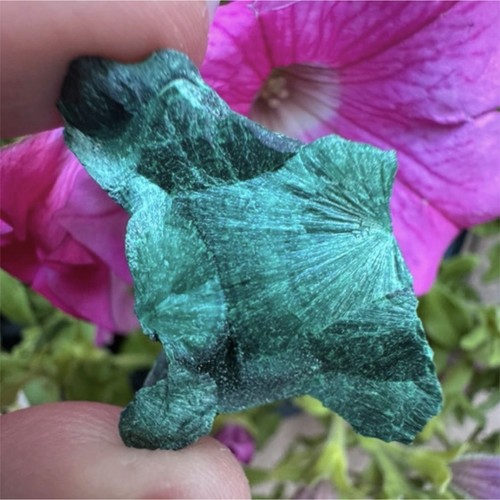 Malachite naturelle verte