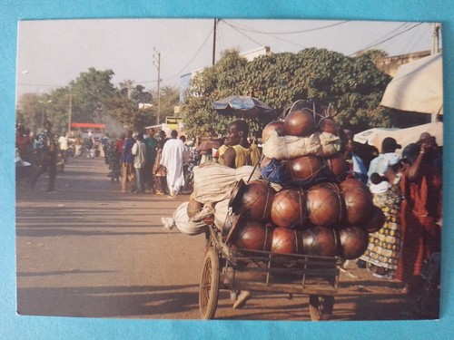 Carte postale côte - postale, d'ivoire