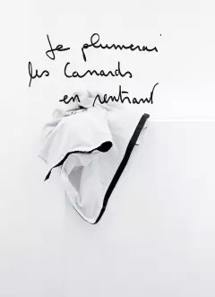 Plumerai les canards - plumerai,