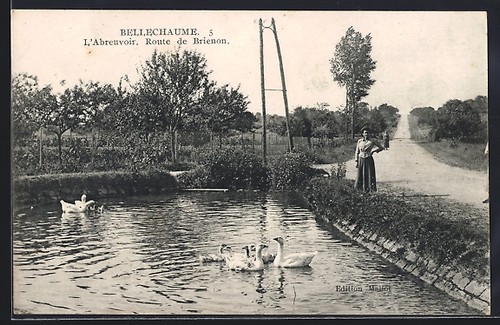 Cpa bellechaume abreuvoir - cpa, l´abreuvoir