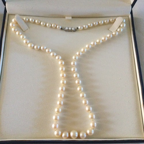 Ptrès beau collier perle - collier,