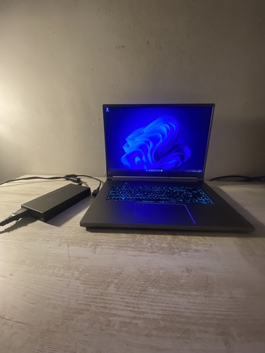 Portable gamer - pc,