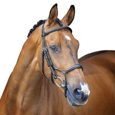 Velociti - Caveçon-bridon