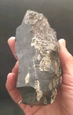 Jet Fine Stone Raw Fossil France Albian Charcoal 508 Gr  