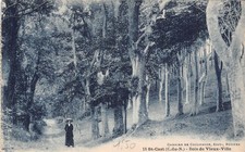 22 SAINT CAST OLD TOWN WOOD